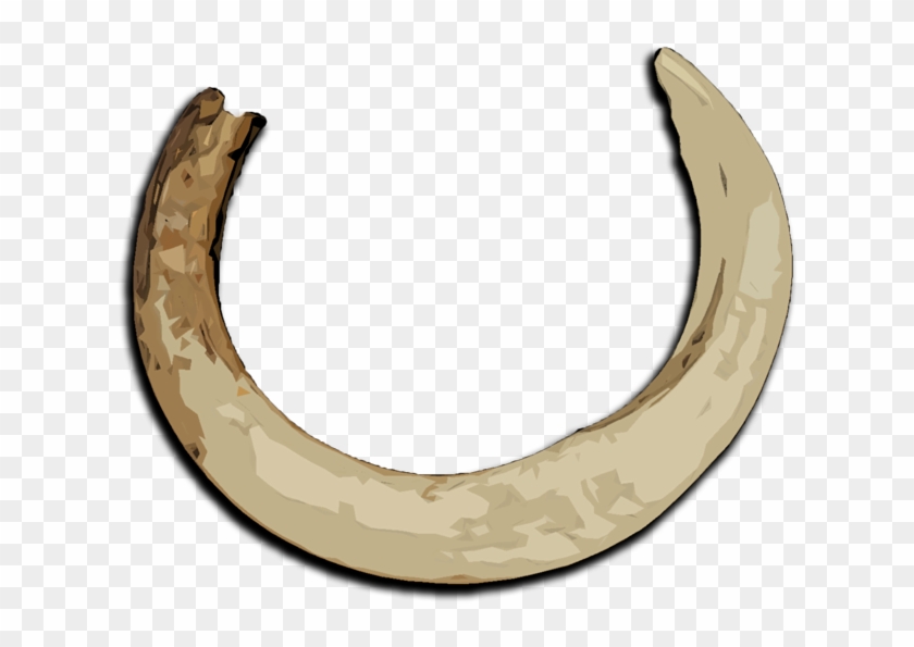 Boar Tusk - Horseshoes #1063696