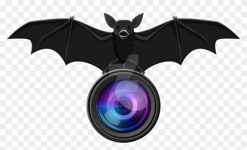 Adaleigh Faith Photography Logo By Adaleighfaith On Extreme Fliers Micro Drone Camera Module Hd 1280p X Free Transparent Png Clipart Images Download