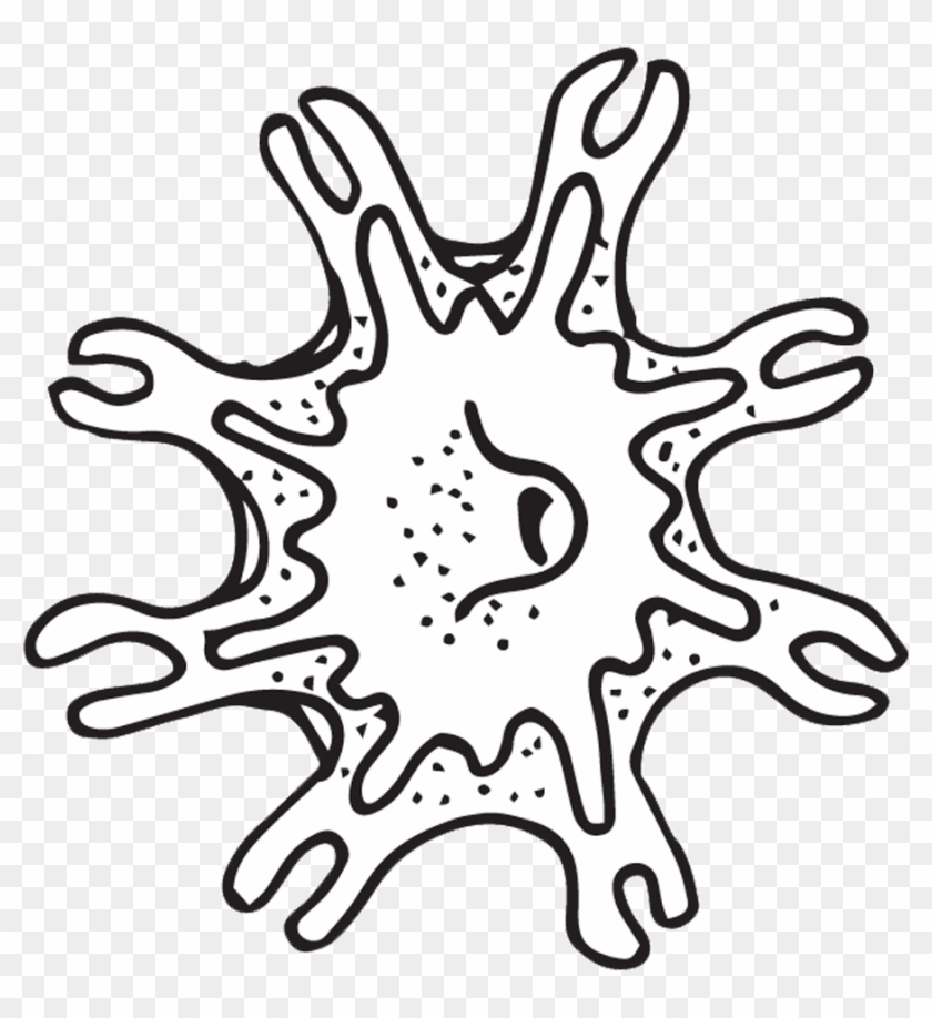 Jellyfish Clipart - Clip Art #1063719