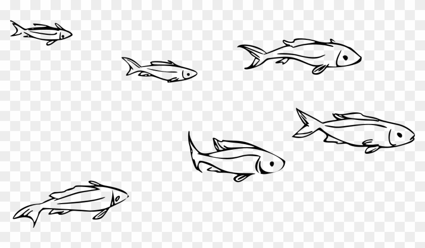 Clipart School Of Fish Rh Openclipart Org School Of - School Of Fish Drawing #1063779