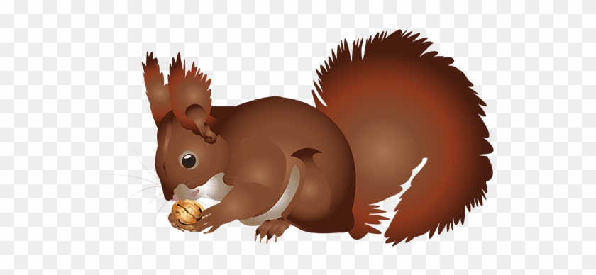 Tubes Écureuils - Squirrel #182634