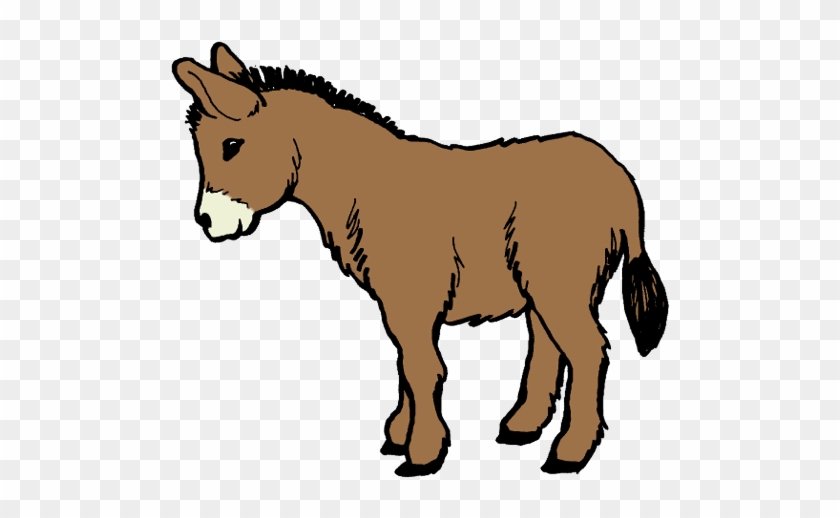 Donkey Clipart - Clipart Donkey #182728