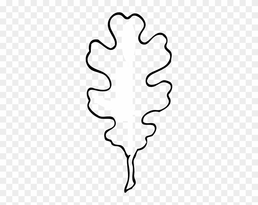 Leaf Outline Clipart - White Oak Leaf Drawing #183228