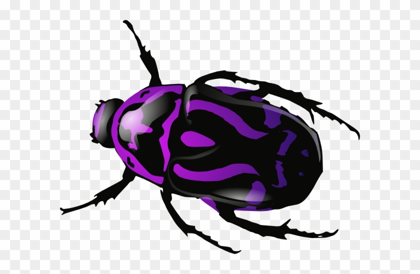 Free Vector Purple Beetle Clip Art - Free Vector Purple Beetle Clip Art #183266