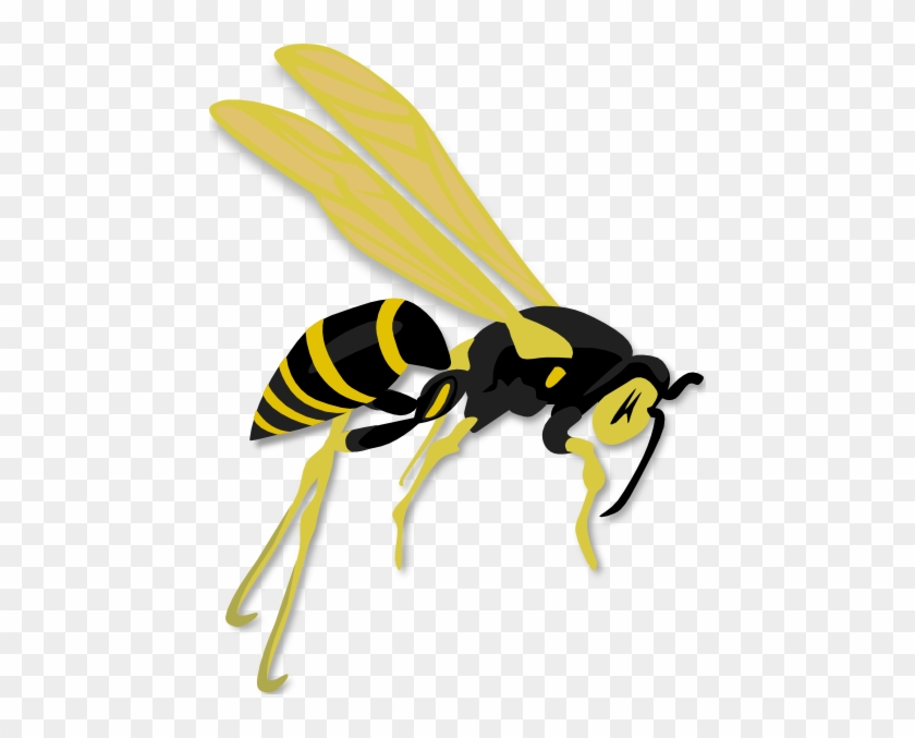 Wasp Clipart Png #183356