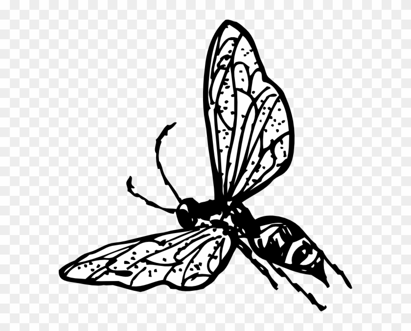 Free Vector Wasp Clip Art - Wasp Clip Art #183411