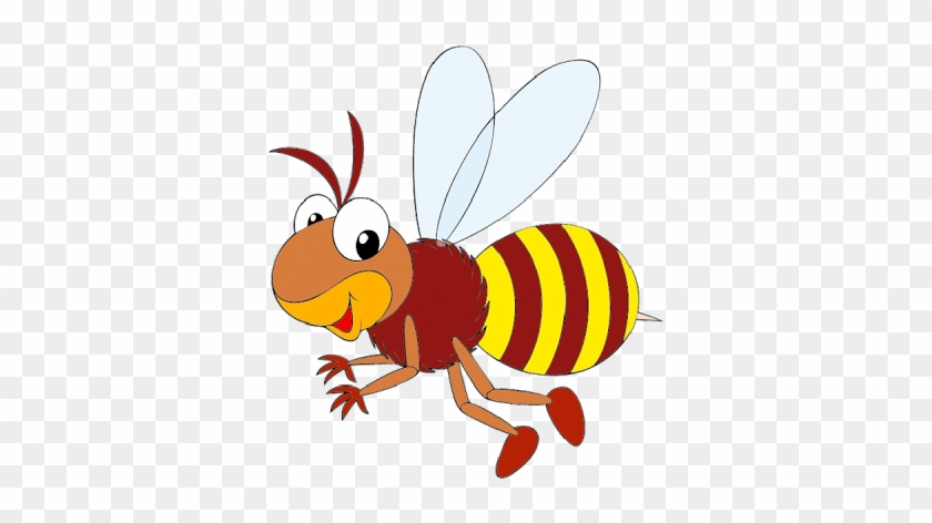 Clip Art - Life Cycle Of A Honey Bee #183423