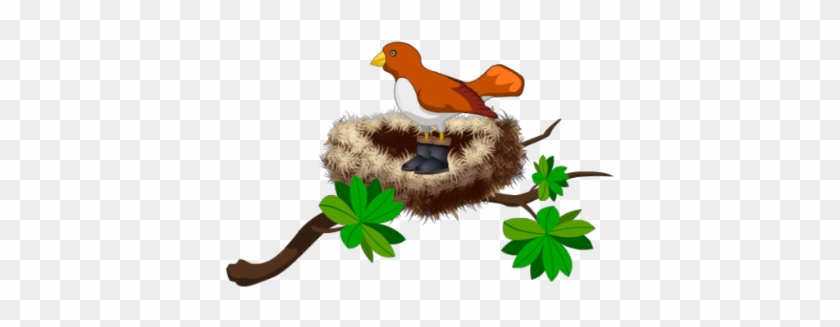 Bird In Nest - Cartoon Bird In Nest Png #183498