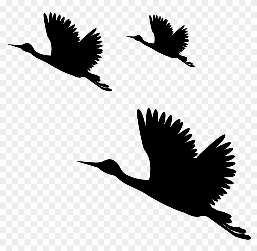 Birds Silhouettes Png Clip Art Image - Birds Picsart Editing Hd #183600