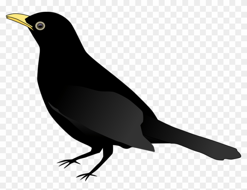 Clipart Birds Black Bird Clip Art Images 2 Clipartbarn - Blackbird Clipart #183639