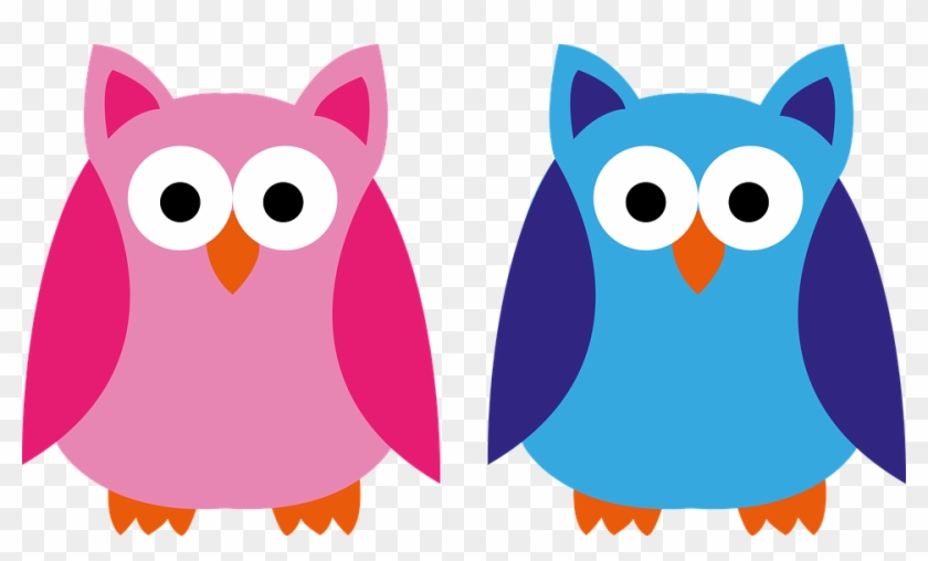 Eule Blau Rosa Pink Junge Mädchen Applikat - Coruja Azul E Rosa #183698