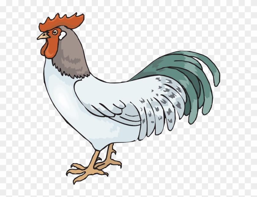Farm Rooster Clip Art - Rooster Clipart #183700