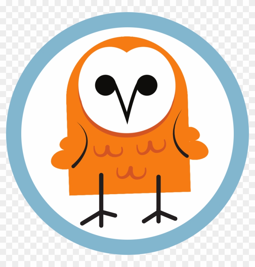 Barnowl - Owl #183896