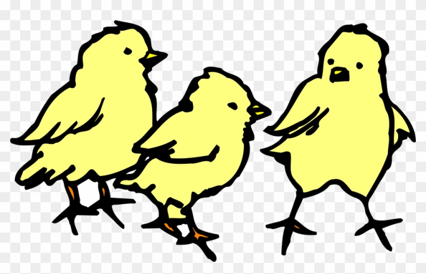 Chick Baby, Barn, Farm, Chicken, Art, Chicks, Chick - Baby Chicks Clipart #183927