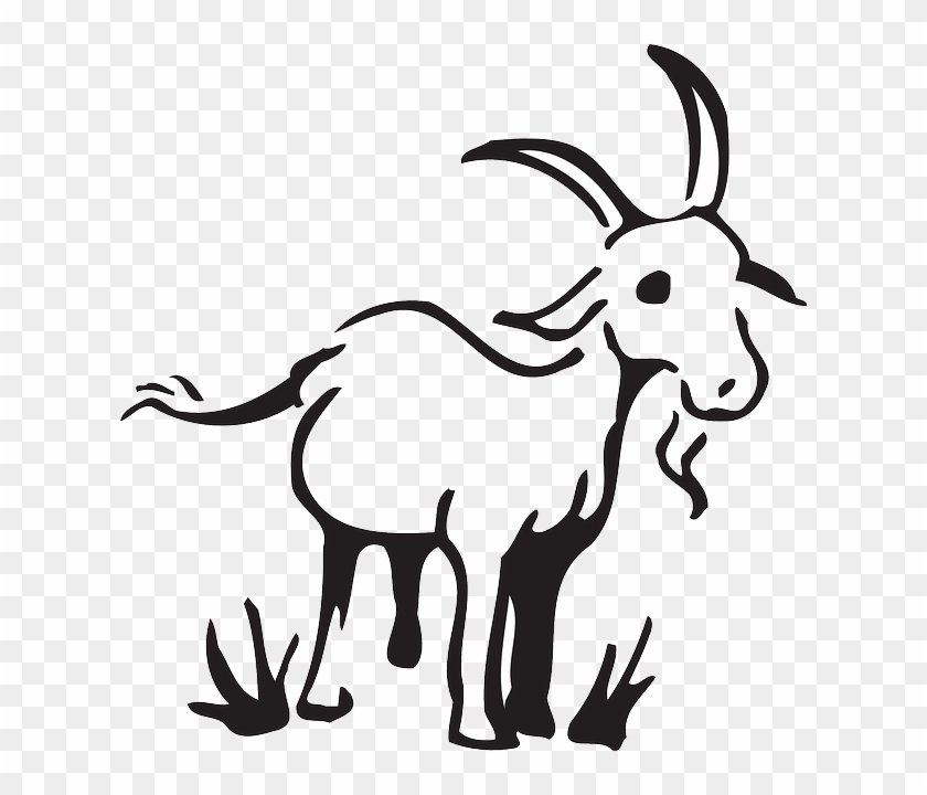Outline, Barn, Farm, Grass, Goat, Art, Standing, Animal - Free Clip Art Goat #183931