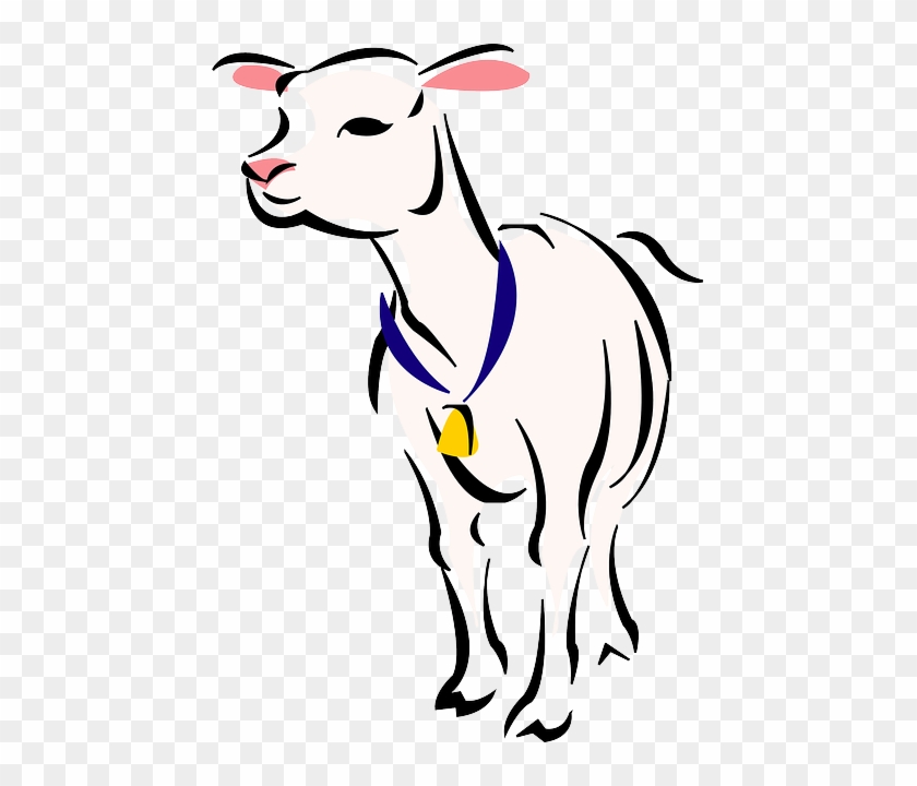 Animals, Outline, Farm, Mammals, Sheep, Lamb, Mutton - Lamb Clip Art #183952