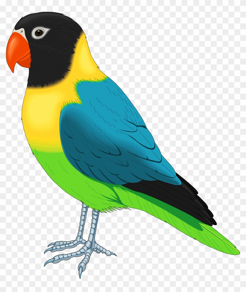 Bird Clipart Png - Bird Clipart #184070