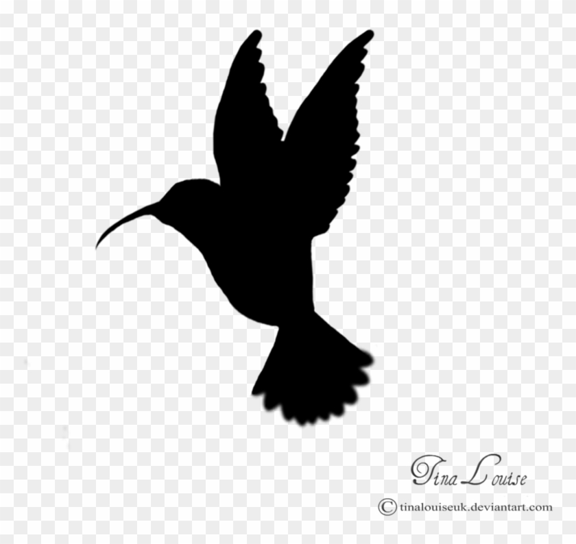 Hummingbird Silhouette Clip Art - Hummingbird Silhouette Clip Art #184072