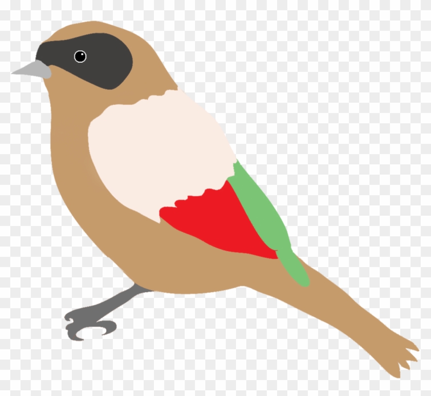 Dompaplike Bird With Colors - Bird Drawing Png #184079