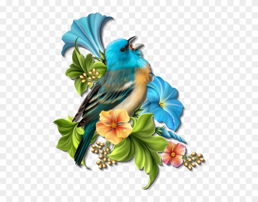 Beautiful Birds, Clip Art, Boarders, Backgrounds, Birds, - Mensagem De Sabado De Aleluia #184078