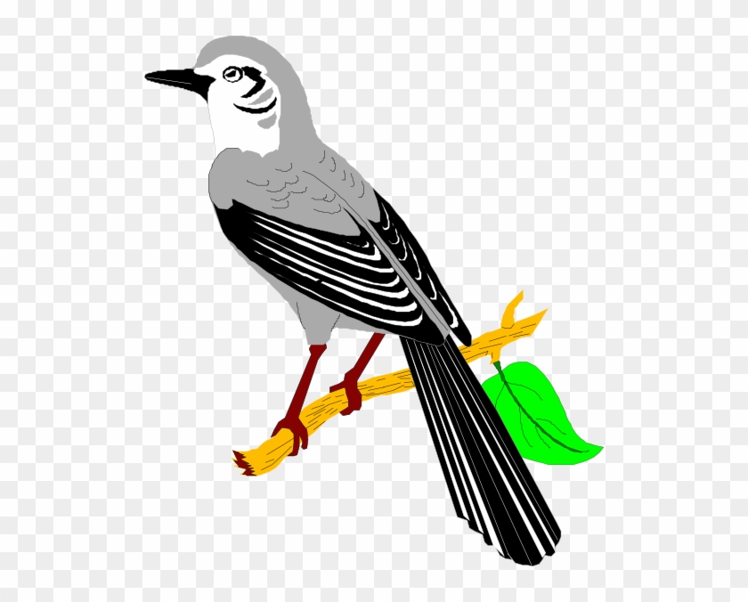 Mockingbird Clip Art At Clker Com Vector Online Clipart - Mockingbird Clipart #184098