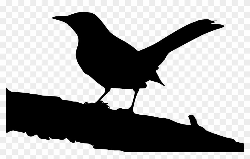 Mockingbird Clipart Free Download Clip Art On Png - Black And White Mockingbird #184127