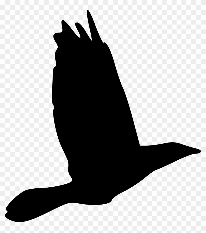 File Bird Dsc03403 C Drawing Nevit 118 Svg Wikimedia - Bird Svg #184144