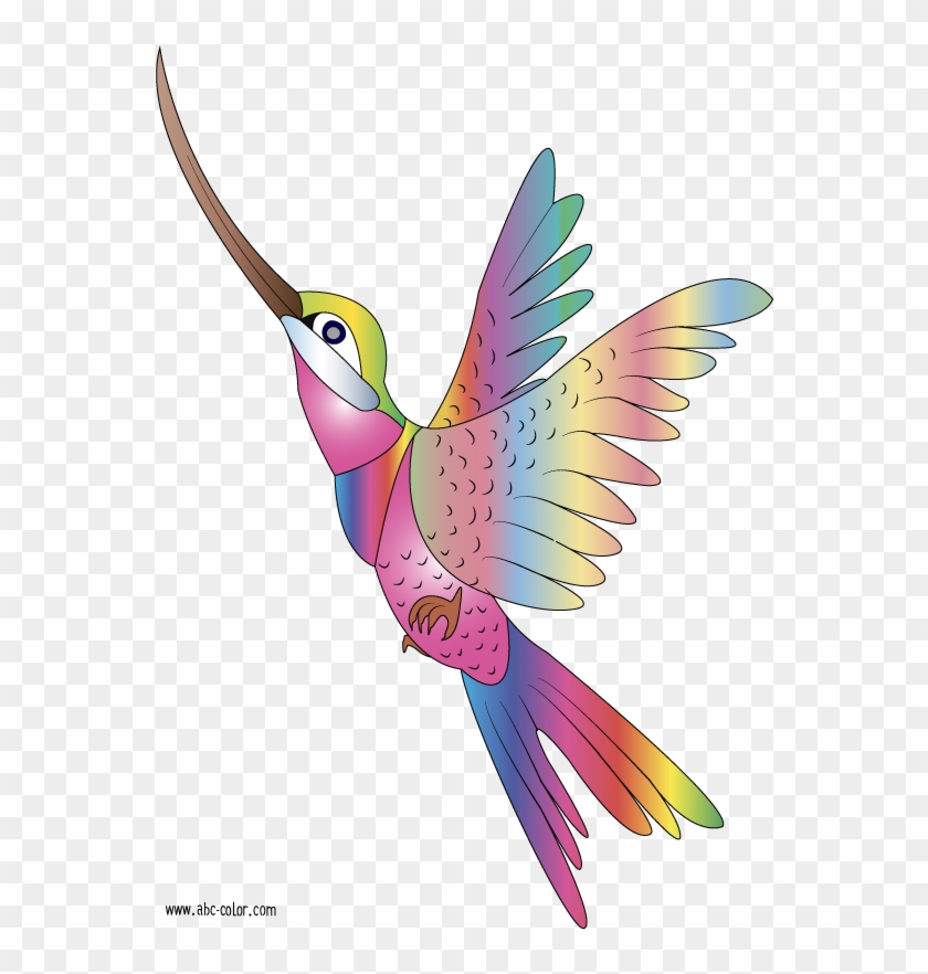 Bird Clipart - Colibries Dibujos Animados #184147