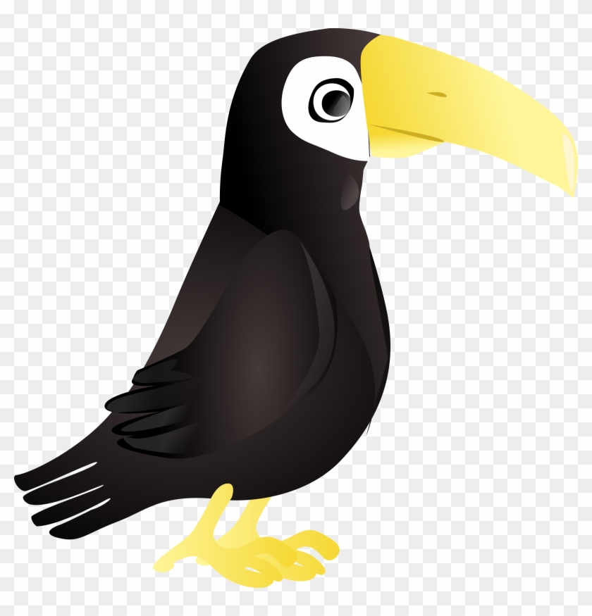 Toucan Clipart Png #184150