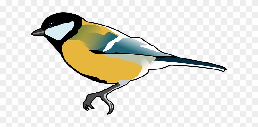 Animal Tomtit, Bird, Titmouse, Tit, Ornithology, Animal - Blue Tit Clip Art #184153