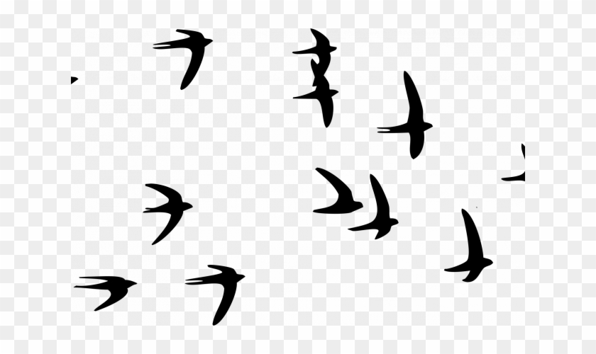 Flying Bird Png Image - Transparent Flying Bird Png #184164