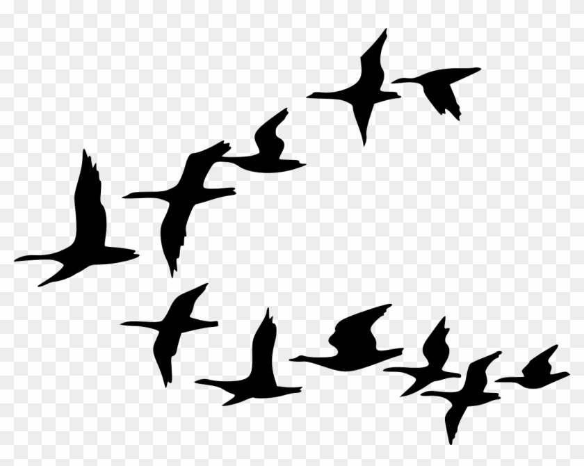 Flying Bird Drawing - Flying Birds Vector Png #184181