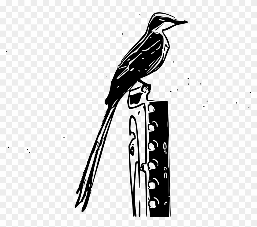 Scissor-tailed Flycatcher Sketch - Tyrant Flycatchers #184188