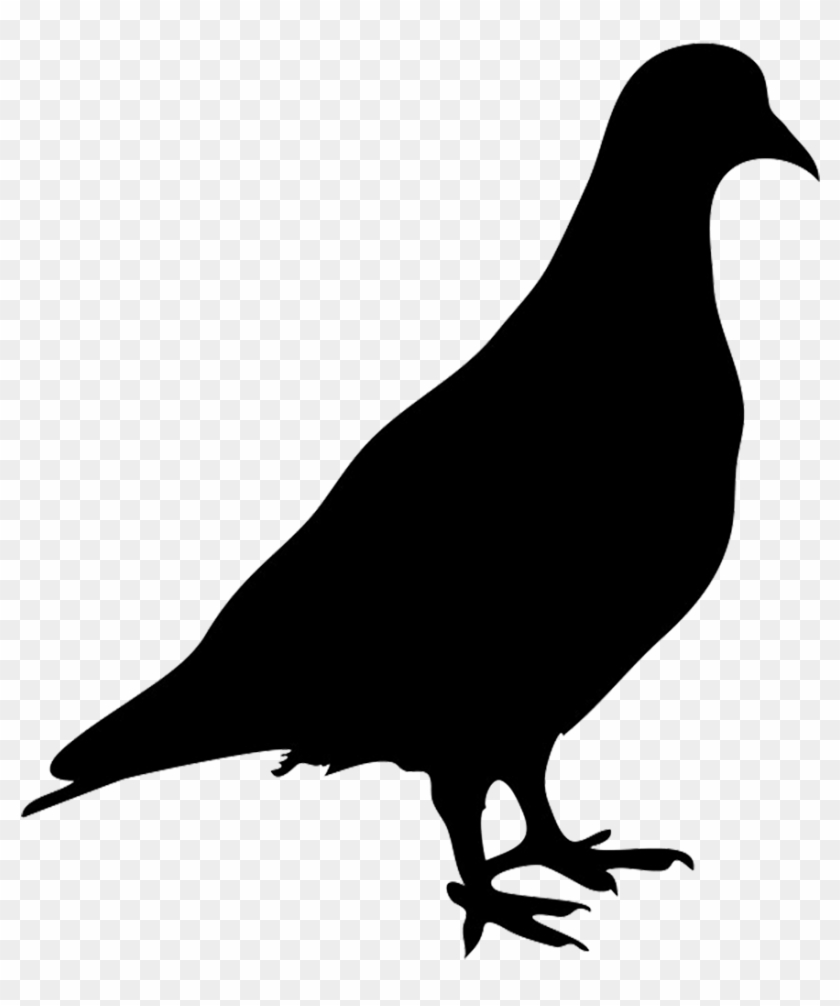 Silhouette Of Robin Png, Pigeon Silhouette Png - Silhouette Of Pigeon #184190