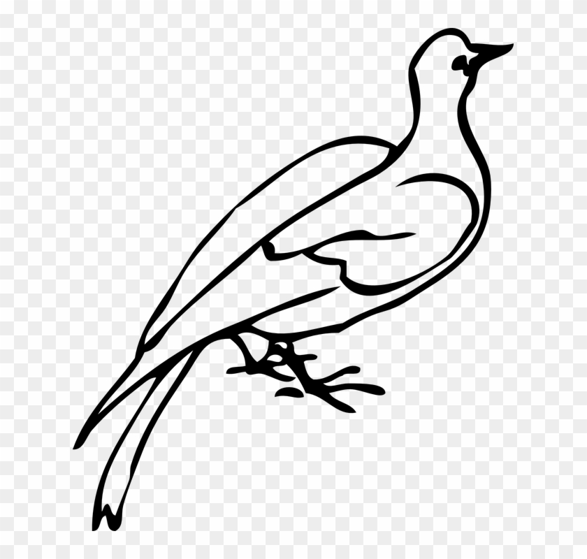 Dove Clipart Freedom Bird - Dove Clip Art #184193