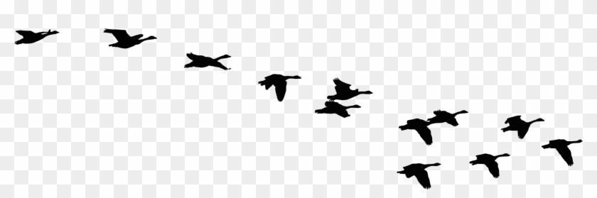 Flock Of Flying Geese Silhouette Icons Png - Flying Geese Silhouette #184200