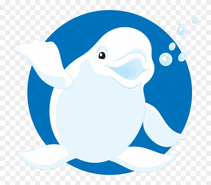 Beluga Clipart Funny - Beluga Whale #184221