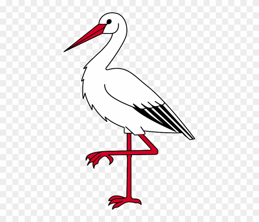 Bocian - Ibis Clip Art #184223