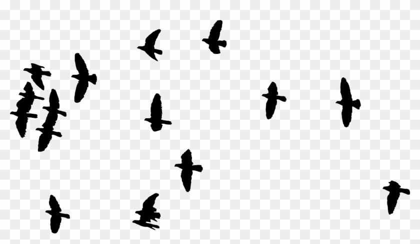 Flock Of Flying Birds Silhouette - Flock Of Birds Pdf #184233