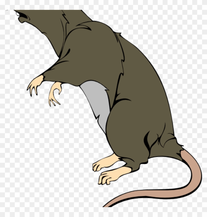 Rat Clipart Grey Greedy Rat Clip Art At Clker Vector - Clip Art #184237