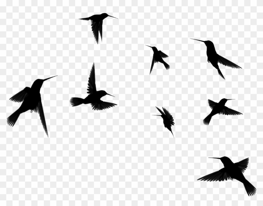 Bird Tattoo Clip Art - 5 Silhouette Humming Birds #184238