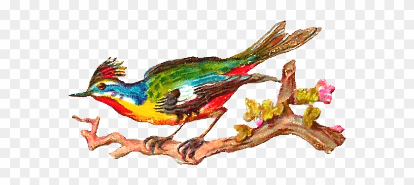 Free Bird Clip Art - Bird #184245