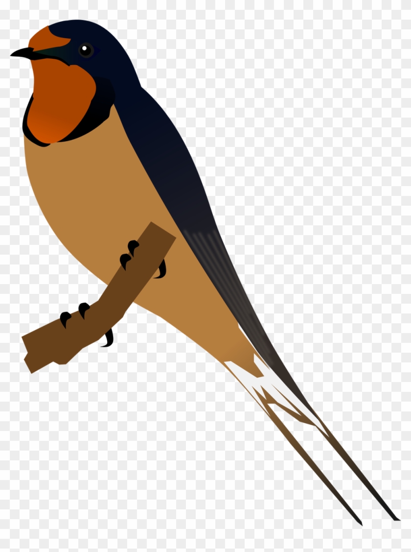 Barn Swallow - Barn Swallow Png #184292