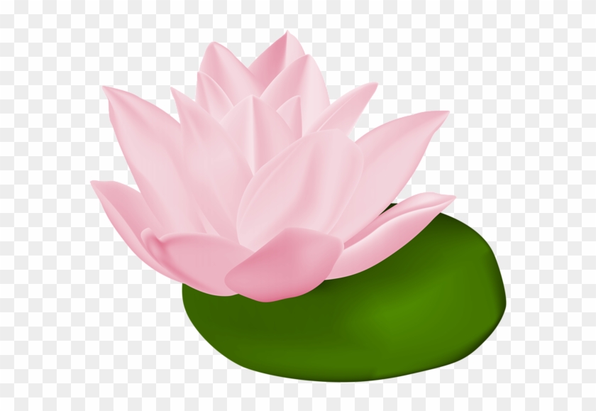 Pink Water Lily Transparent Png Clip Art Image - Water Lily Pads Transparent #184306