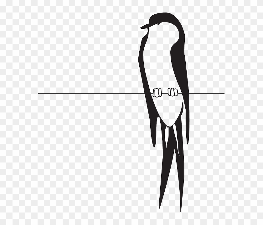 Perched Wire, Bird, Wings, Claws, Feathers, Perched - Bird On Wire Clipart #184325