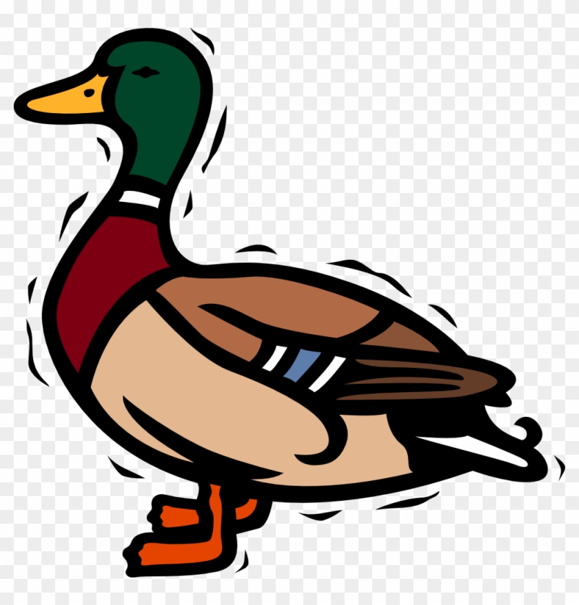 Cartoon Bird 17 Small Clipart 300pixel Size, Free Design - Mallard Duck Clipart #184329