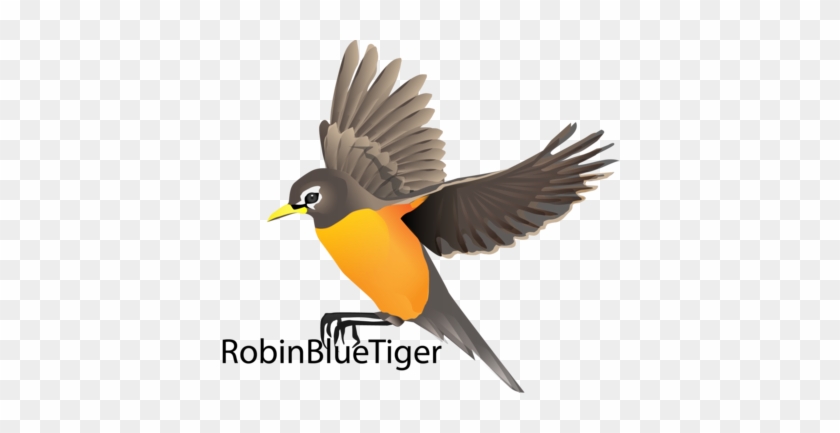 Robin Bird Meeeeee By Brainspewage On Deviantart - Robin Bird Flying Drawing #184333