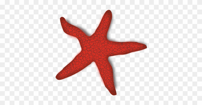 Sea Star Clip Art - Starfish Clip Art #184571