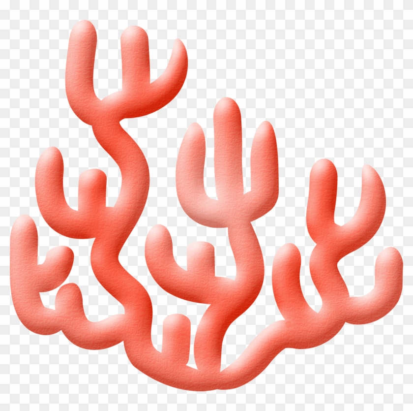 ○•‿✿⁀ocean Safari‿✿⁀•○ - Anemonas Png #184581