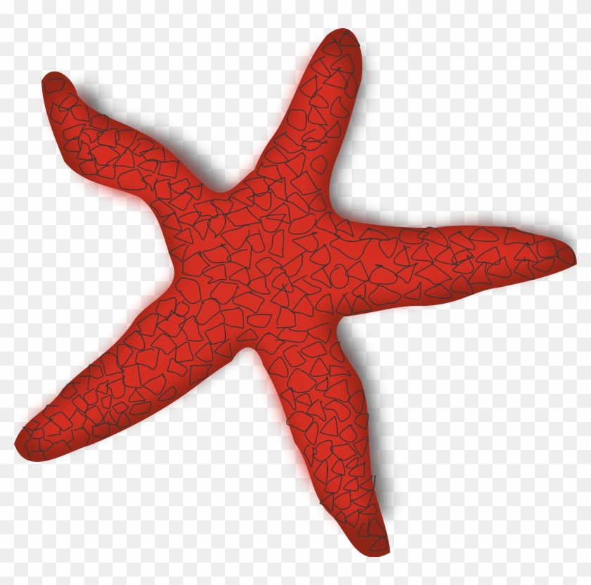 Starfish Clip Art Download - Sea Star Gif Transparent #184582